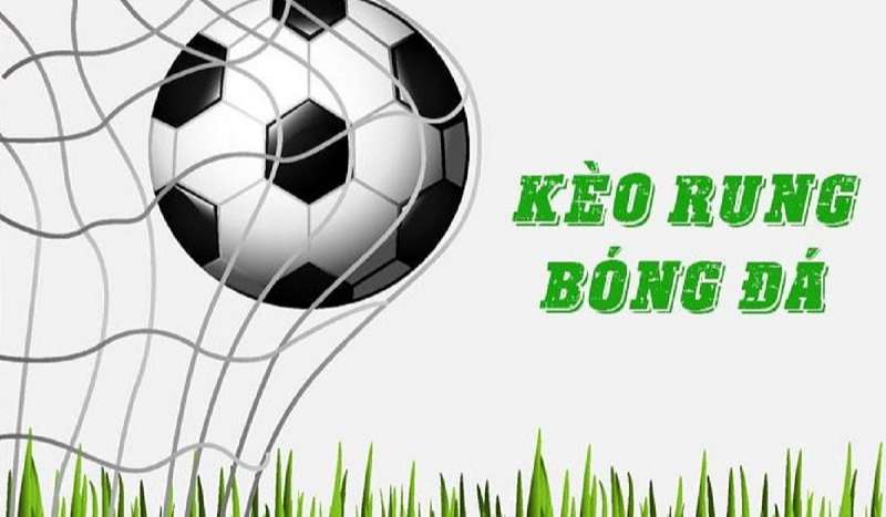 Kèo rung là gì?