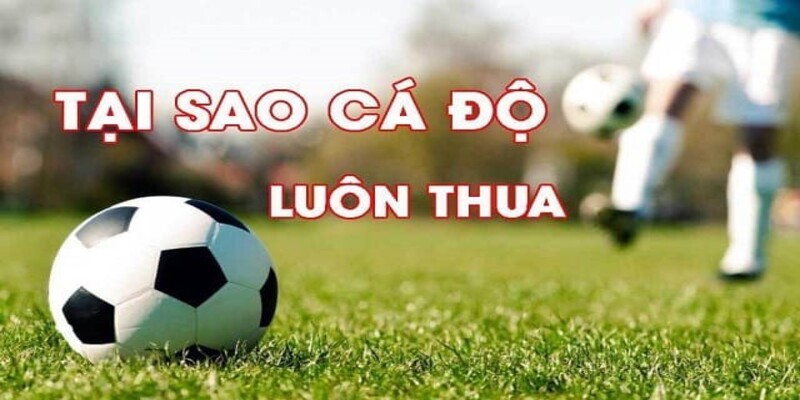 Gài kèo - dấu hiệu nhận biết sập bẫy nhà cái