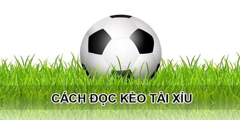 Kèo tài xỉu là gì?