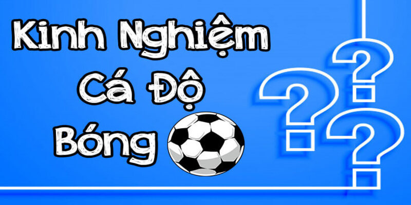 kinh nghiệm chọn kèo bóng đá