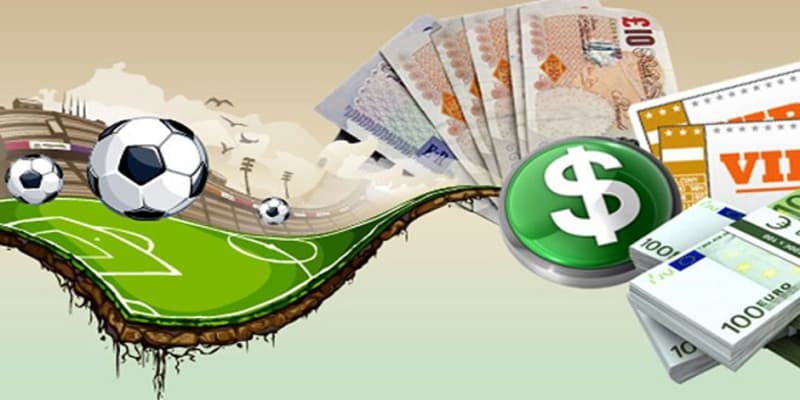 Bsport - Đối tác đáng tin cậy trong việc soi kèo bóng đá hôm nay