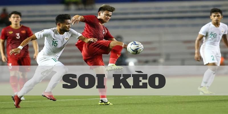Bsport - Đối tác đáng tin cậy trong việc soi kèo bóng đá hôm nay